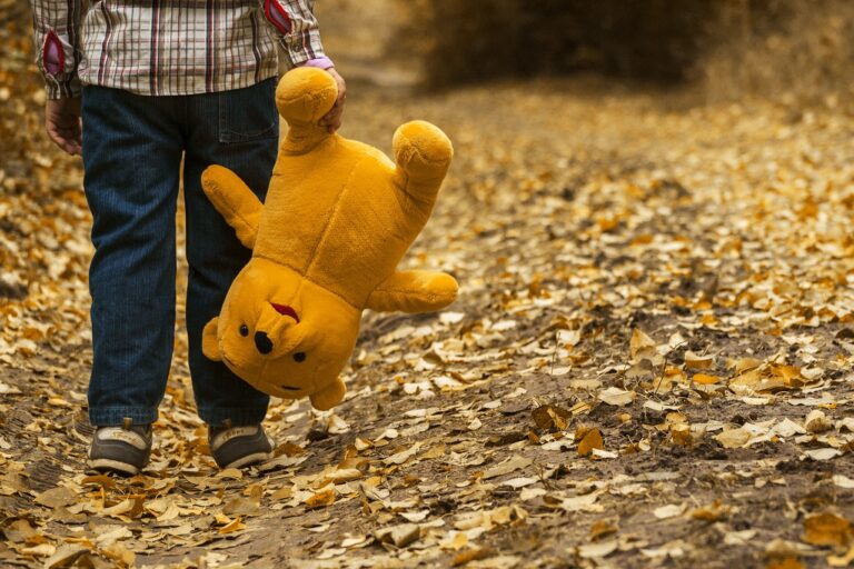 child, teddy bear, fall-1051288.jpg